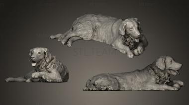 3D model Golden retriever (STL)